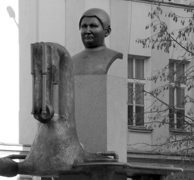 Soutěžn foto č. 10