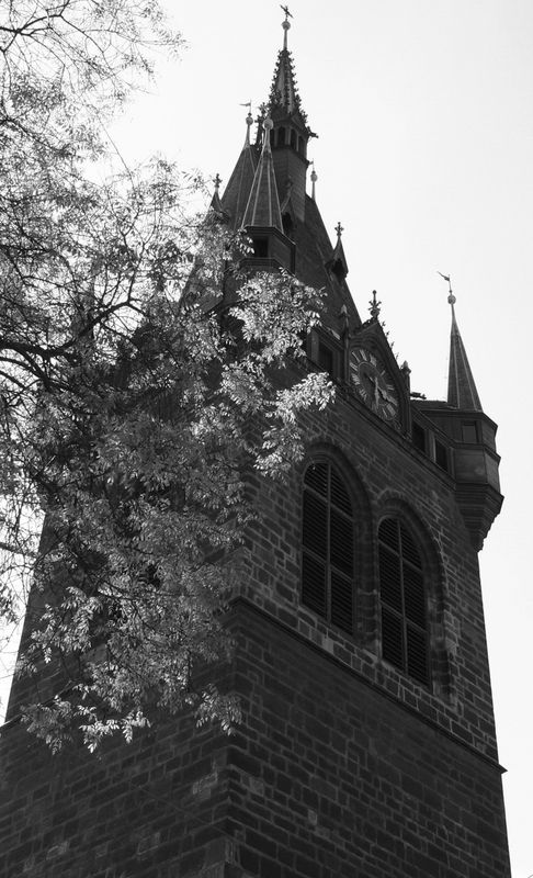 Soutěžn foto č. 22